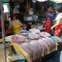 /file/gallery/595-ch6mjbzep2-586-lndgek9x43-foto-x024.jpg
